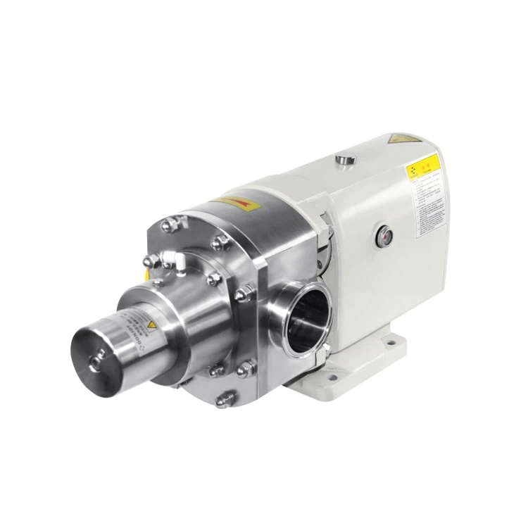 Lobe Pump With Flange Hopper